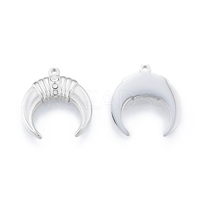304 Stainless Steel Pendants STAS-N097-258P-1