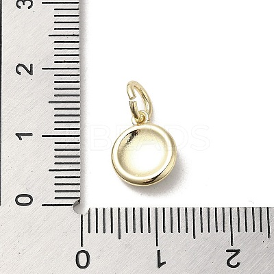 Brass Enamel Charms KK-E092-13G-03-1