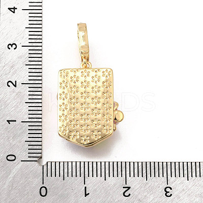 Brass Micro Pave Cubic Zirconia & Enamel Pendants KK-R222-16G-01-1
