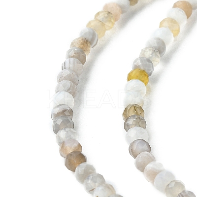 Natural Botswana Agate Beads Strands G-F748-D01-1