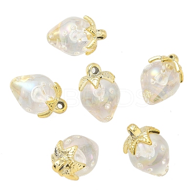 Transparent Acrylic Pendants OACR-I021-02C-1
