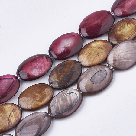 Freshwater Shell Beads Strands SHEL-S274-37-1
