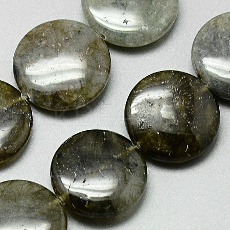 Natural Labradorite Beads Strands G-Q948-38-1