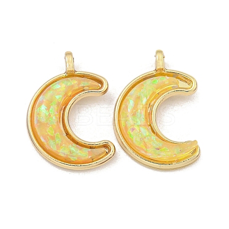 Translucent Resin Pendants KK-M291-23G-01-1