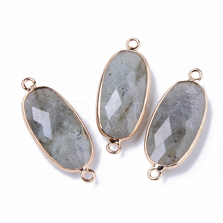Natural Labradorite Links Connectors G-R472-03M-1