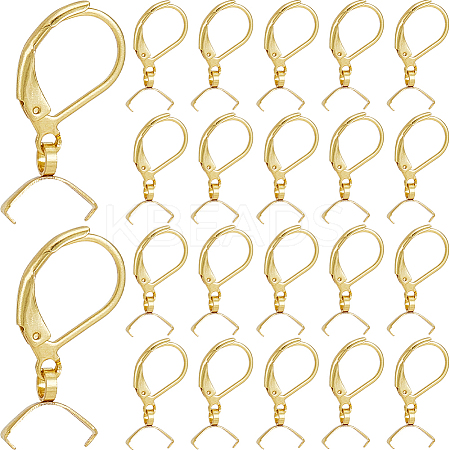 60Pcs 304 Stainless Steel Leverback Earring Findings STAS-SP0001-21G-1