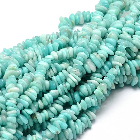 Natural Amazonite Chip Beads Strands X-G-E271-75-1