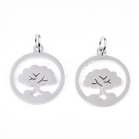 Non-Tarnish 304 Stainless Steel Pendants LS-STAS-N103-03P-1
