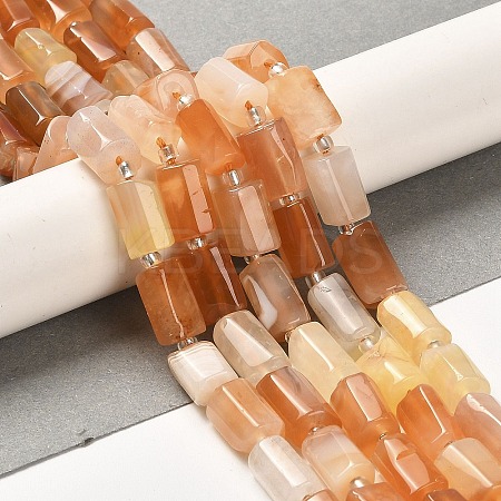 Natural Orange Botswana Agate Beads Strands G-N327-06-31-1