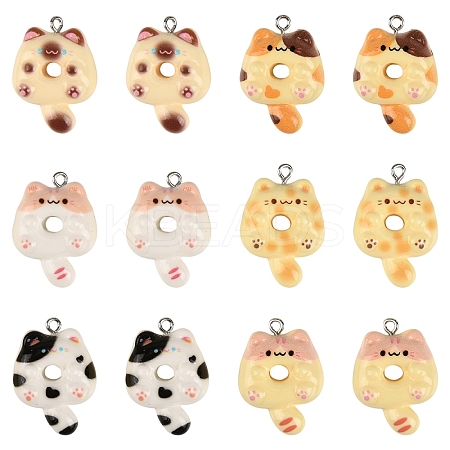30Pcs 6 Colors Opaque Resin Pendants RESI-YW0004-93-1