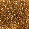 MIYUKI Delica Beads SEED-X0054-DB0065-3