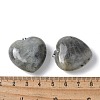 Natural Labradorite Pendants G-A259-02P-02-3