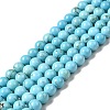 Dyed & Heated Natural Magnesite Beads Strands G-G924-01B-03-1