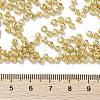 8/0 Glass Seed Beads X1-SEED-A017-3mm-1115-3
