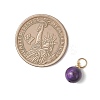 Dyed Natural Tiger Eye Round Charms PALLOY-JF04979-2