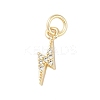 Rack Plating Brass Micro Pave Clear Cubic Zirconia Charms KK-Z060-14G-1