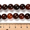 Dyed Natural Agate Beads Strands G-G203-10A-10mm-5