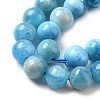 Natural Apatite Beads Strands G-L626-A01-6mm-01-4