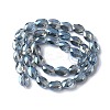 Electroplate Glass Beads Strands EGLA-L045-A-FR02-3