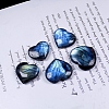 Reiki Natural Labradorite Healing Stones LS-DJEW-PW0012-090-1