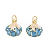 Brass Enamel Charms KK-Q077-09G-03-1