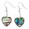 Abalone Shell/Paua Shell Dangle Earrings EJEW-JE06208-2