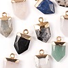 10Pcs 10 Style Natural Gemstone Pointed Pendants G-LS0002-04-5