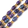 Electroplated Natural Druzy Geode Crystal Beads Strands G-G459-03B-10-1