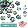 20Pcs 2 Styles Natural Paua Shell Cabochons SHEL-YW0001-09-2