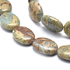 Natural Aqua Terra Jasper Beads Strands G-I213-04-13x18-3
