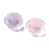 Frosted Transparent Acrylic Beads OACR-A032-25-2