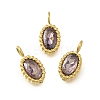 304 Stainless Steel Micro Pave Cubic Zirconia Charms STAS-U027-02G-06-1