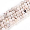 Natural Persian Jade Beads Strands G-A255-A02-04K-4