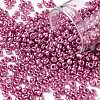 8/0 Glass Seed Beads X-SEED-A017-3mm-1111-1