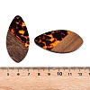 Transparent Resin and Walnut Wood Pendants RESI-T057-05D-4