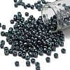 TOHO 6/0 Round Beads SEED-TR06-1207-1