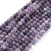 Natural Lepidolite/Purple Mica Stone Beads Strands G-E545-01A-4
