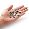 Abalone Shell/Paua Shell Beads SHEL-T005-01-5