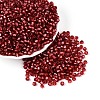 Silver Lined Glass Seed Beads SEED-T007-18A-14-1