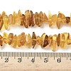 Natural Amber Beads Strands G-L095-D01-07-5