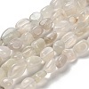 Natural White Moonstone Beads Strands G-P497-01E-69C-2