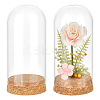 2Pcs Glass Cloche Dome Covers AJEW-BC0008-81-1
