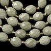 Natural Alashan Agate Beads Strands G-F809-A10-01-4