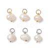 6Pcs 2 Colors Natural Freshwater Pearl Potato Charms with 304 Stainless Steel Findings PALLOY-JF04943-1