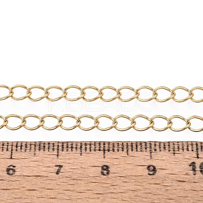 Handmade 304 Stainless Steel Twisted Chain/Curb Chain STAS-P204-02G-1