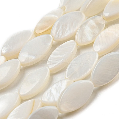 Natural Freshwater Shell Beads Strands BSHE-Z005-05-1