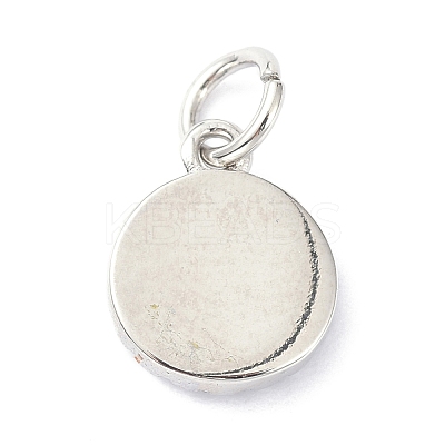 Brass Cubic Zirconia Enamel Charms ZIRC-C022-34P-1