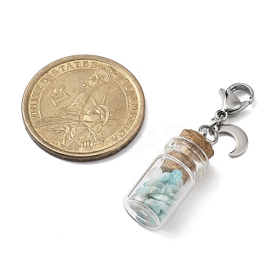 Natural Amazonite Chip inside Glass Wishing Bottle Pendant Decoration HJEW-JM03130-02-1