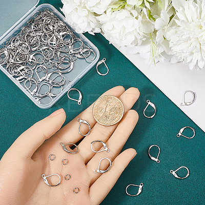 80Pcs 304 Stainless Steel Leverback Earring Findings STAS-SP0001-12-1