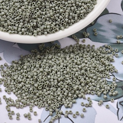 MIYUKI Delica Beads SEED-MY11-DB2282-1